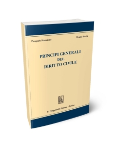 Principi generali del diritto civile