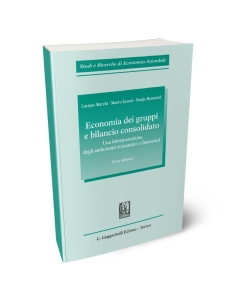 Economia dei gruppi e bilancio consolidato