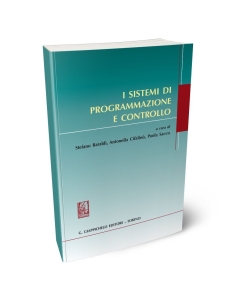 I sistemi di programmazione e controllo