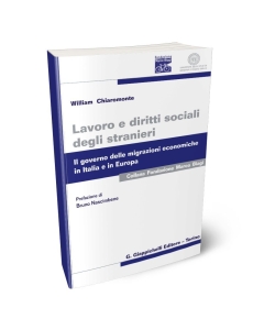 Lavoro e diritti sociali degli stranieri