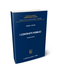 I contratti pubblici