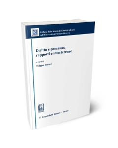 Diritto e processo: rapporti e interferenze