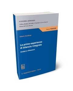 Le prime esperienze di bilancio integrato