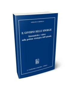 Il governo delle sinergie.