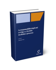 La responsabilità degli enti ex d.lgs. 231/2001 tra diritto e processo