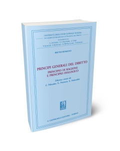 Principì generali del diritto