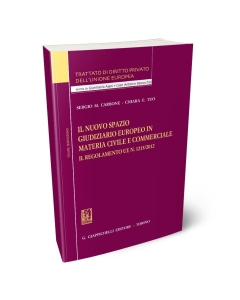 Il nuovo spazio giudiziario europeo in materia civile e commerciale