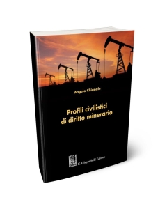 Profili civilistici di diritto minerario