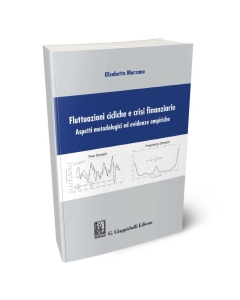 Fluttuazioni cicliche e crisi finanziare: aspetti metodologici ed evidenze empiriche