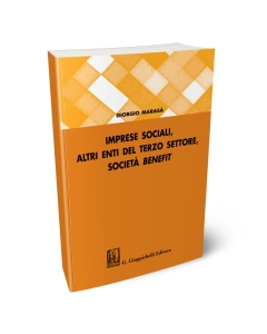 Imprese sociali, altri enti del terzo settore, società benefit