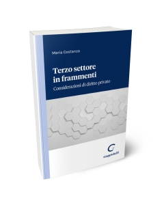 Terzo settore in frammenti