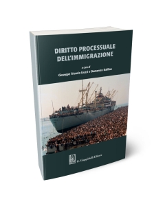 Diritto processuale dell'immigrazione
