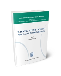 Il minore autore di reato negli atti internazionali