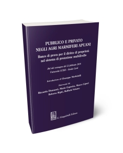 Pubblico e privato negli agri marmiferi apuani