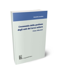 L'economia della gestione degli enti del terzo settore