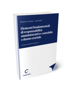 Elementi fondamentali di responsabilità amministrativo-contabile e danno erariale