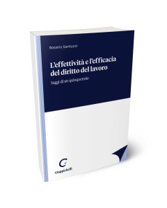 L'effettività e l'efficacia del diritto del lavoro