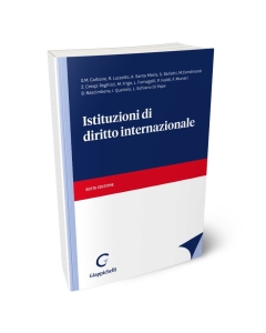 Istituzioni di diritto internazionale