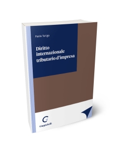 Diritto internazionale tributario d'impresa