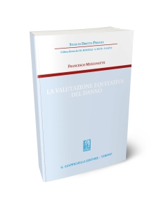 La valutazione equitativa del danno