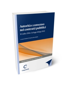 Autorità e consenso nei contratti pubblici