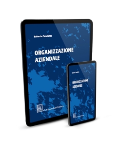 Organizzazione aziendale - e-Book