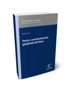 Prova e convincimento giudiziale del fatto