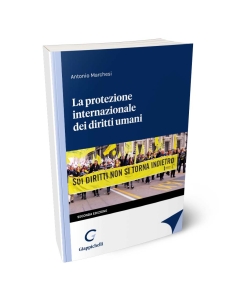 La protezione internazionale dei diritti umani