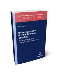 Il favoreggiamento dell'immigrazione irregolare