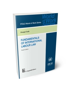 Fundamentals of International Labour Law