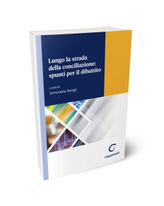 Lungo la strada della conciliazione: spunti per il dibattito