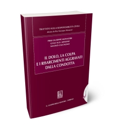 Il dolo, la colpa e i risarcimenti aggravati dalla condotta