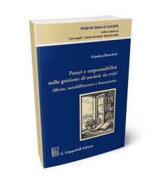Poteri e responsabilità nella gestione di società in crisi