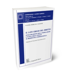 Il lato grigio del diritto