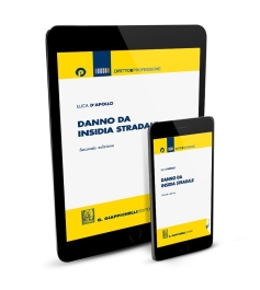 Danno da insidia stradale - e-Pub 