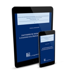 Fattispecie indennitaria e danno da processo penale - e-Pub 