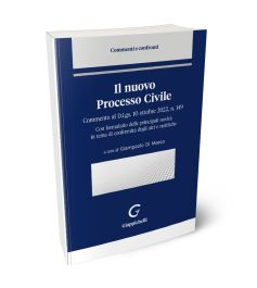 Il nuovo Processo Civile